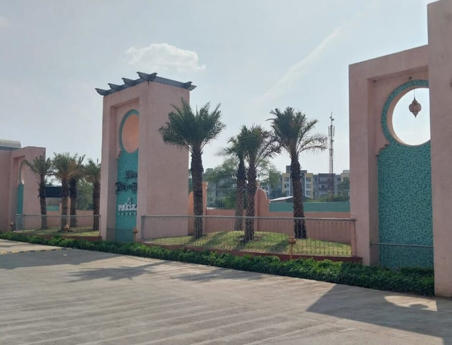New kohefiza 11